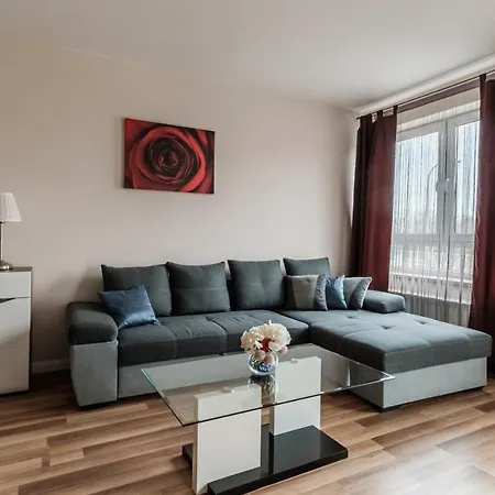 Apartment Inside Warsaw